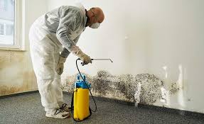 Best Mold Odor Removal Services  in Oswego, KS